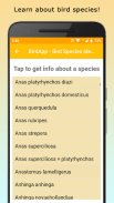 BirdsID - Identify Birds screenshot 2