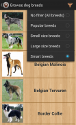 Dog Breeds screenshot 0