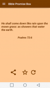 Bible Promise Box screenshot 8