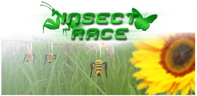 Insect Race