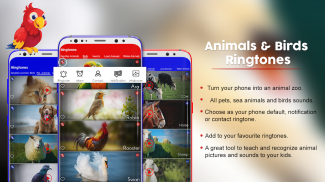 Animals Ringtones & Wallpapers screenshot 14