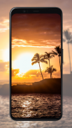 Palm Tree Wallpapers screenshot 1