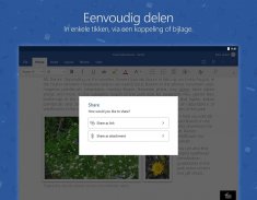 Microsoft Word screenshot 14
