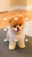 puppy layar kunci pola screenshot 0