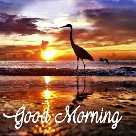 Good Morning Beautiful Scenery 3.1 Download APK for Android - Aptoide