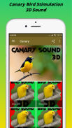 Canary 3D Sound Master screenshot 1