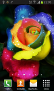 Happy Roses Live Wallpaper screenshot 8