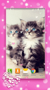 Cute Kittens Live Wallpaper screenshot 2