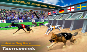 Real Dog Racing Games: Racing Dog Simulator screenshot 3