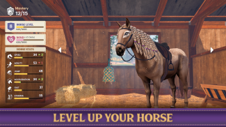 Star Equestrian - Horse Ranch screenshot 12