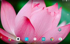 Tropical Flower Live Wallpaper screenshot 3