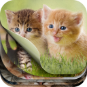 Cute Kitten Puzzle Kit & Wallpapers