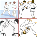 Learn Taekwondo Icon