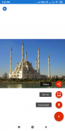 Famous Mosque Wallpapers: Free Pics download screenshot 3