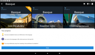 Basque Language Tests screenshot 19