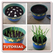 DIY Gardening Planting screenshot 4