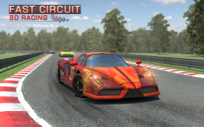 Rápido Circuito de Corridas 3D screenshot 0