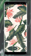 Tropical Leaves Wallpaper screenshot 4