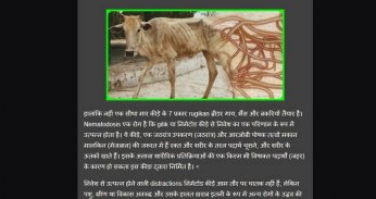 cow disease and how to treat it screenshot 2