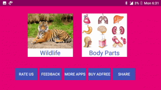 Learn English Wildlife and Body Parts Names screenshot 0