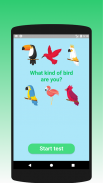 What kind of bird are you? Test screenshot 3
