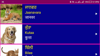 Learn Punjabi From Hindi screenshot 1