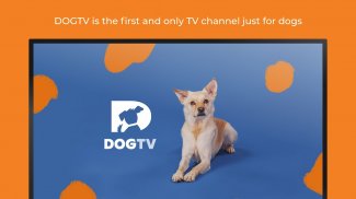 DOGTV: Television for dogs screenshot 12