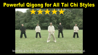 Tai Chi Ball Qigong (Dr. Yang) screenshot 13
