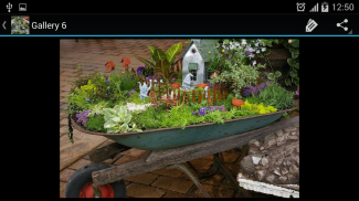 Fairy Garden screenshot 8