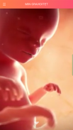 The BabyApp - Gravid & Baby screenshot 0
