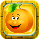 Fruit Fun Icon