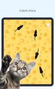 Meow - Jeux Jouet Pour Chat screenshot 8