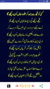 Pir naseer ud din naseer kalam screenshot 4