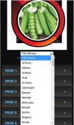 How to Grow Green Beans Good screenshot 7