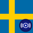 SE Radio - Schwedische Radios Icon