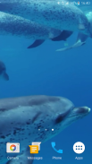 Дельфины Живые Обои screenshot 5