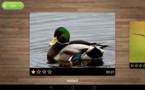 Bird Puzzle Games screenshot 6