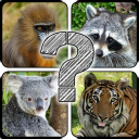 Guess The Animals: Quiz
