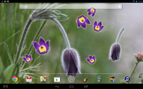 Flower Bud LWP screenshot 2