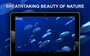 Jellyfishes 3D live wallpaper screenshot 0