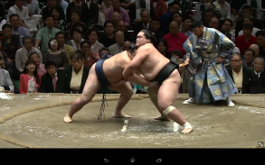 Grand Sumo screenshot 10