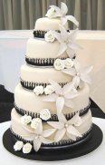 Wedding Cake Ideas | Icing Bakery Designs screenshot 9