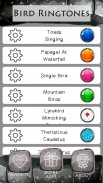 Bird Ringtones screenshot 2