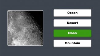 Zoom Quiz: Gra Zdjęciowa screenshot 14