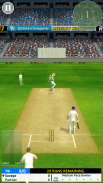 क्रिकेट मेगास्टार screenshot 4
