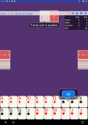 Pinochle screenshot 2