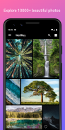 WallRey - Free 10000+ Elegant HD 4K wallpapers screenshot 0