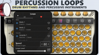 Fisarmonica Cromatica Bottoni screenshot 0