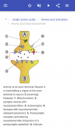 Amino acids screenshot 12