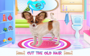 Papillon Puppy Care screenshot 2